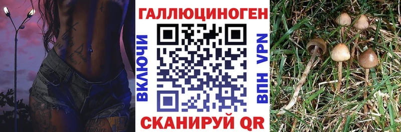 наркошоп  Камень-на-Оби  Галлюциногенные грибы прущие грибы 
